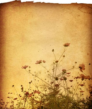 flower paper textures - perfect background with space for text or imageの写真素材