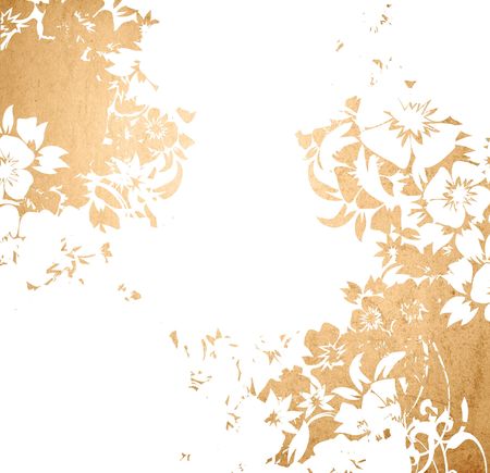 floral style backgrounds frameの写真素材