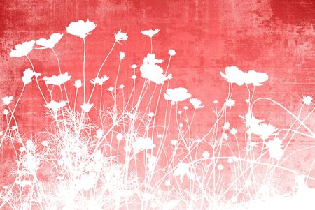 flower abstract textures and backgroundsの写真素材