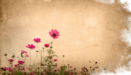 vintage flower paper backgroundの写真素材