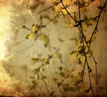 old-fashioned artistic flower の写真素材