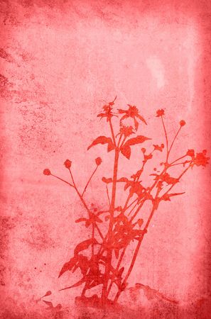 floral style textures with space for text or imageの写真素材