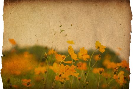 floral style old paper textures backgroundの写真素材