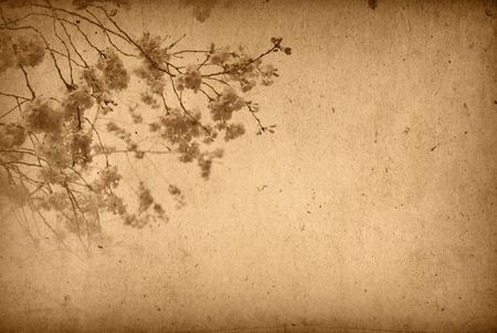 floral style old paper textures backgroundの写真素材