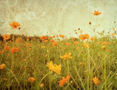 old flower paper textures - perfect background with space for text or image
の写真素材
