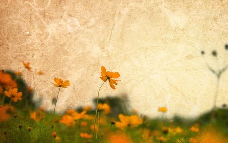 old flower paper textures - perfect background with space for text or imageの写真素材