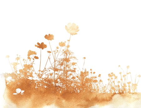 floral style textures with space for text or imageの写真素材