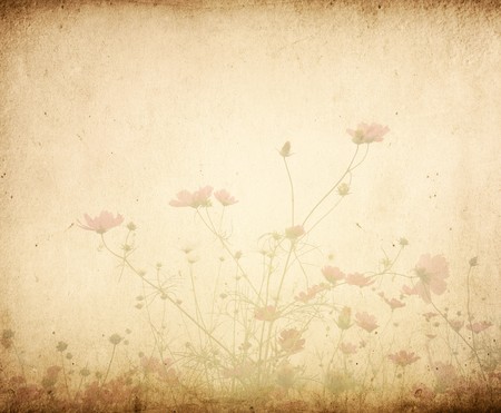 vintage flower paper backgroundの写真素材