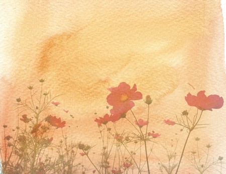 old flower paper textures - perfect background with space for text or imageの写真素材