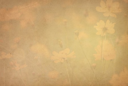 vintage flower paper background
の写真素材