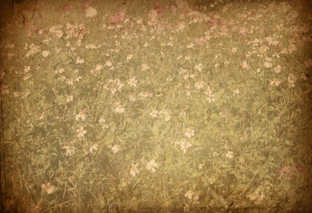 old flower paper textures - perfect background with space for text or imageの写真素材