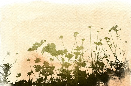 floral style textures with space for text or imageの写真素材