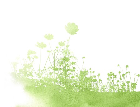 floral style textures with space for text or imageの写真素材