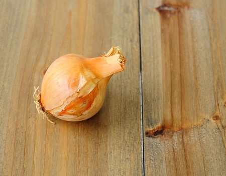 Garlic vegetable isolated on the wooden table  の写真素材
