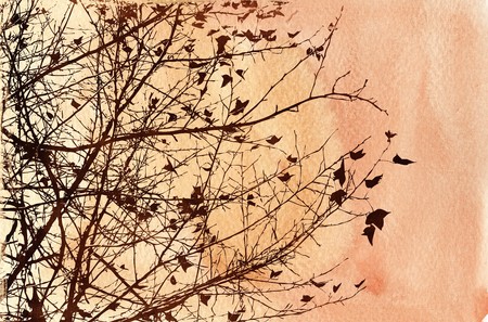 floral style textures with space for text or imageの写真素材