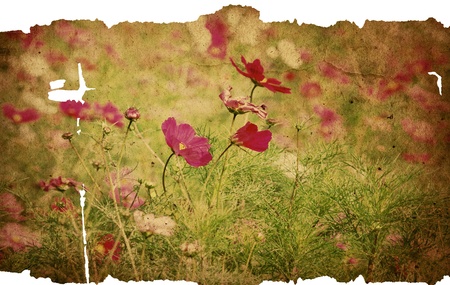 old flower paper textures - perfect background with space for text or imageの写真素材