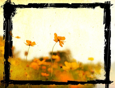 old flower paper textures - perfect background with space
の写真素材