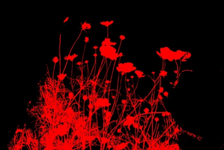 floral style textures with space for text or imageの写真素材