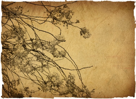 old shabby paper textures - perfect background with space for text or imageの写真素材