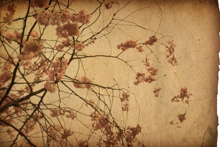 old shabby paper textures - perfect background with space for text or imageの写真素材