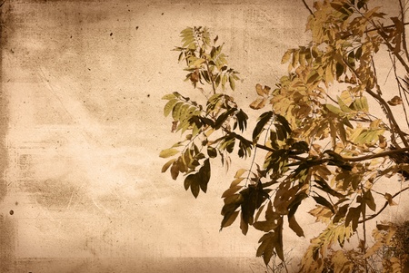 old shabby paper textures - perfect background with space for text or imageの写真素材