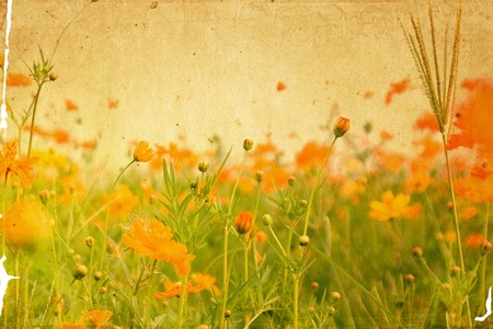 old flower paper textures - perfect background with space for text or image
の写真素材