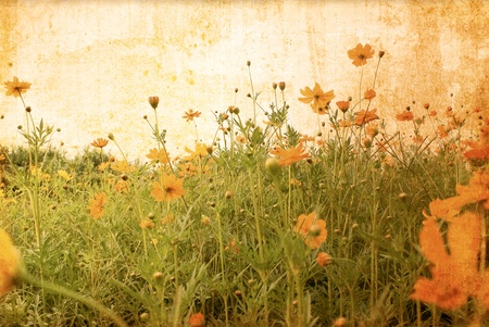 old flower paper textures - perfect background with space for text or image
の写真素材