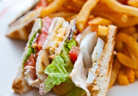 Sandwich with chicken, cheese and golden French fries potatoesの写真素材