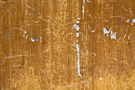 Stock macro photo of the texture of wood