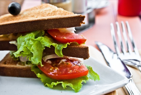Sandwich with chicken, cheese and lettuceの写真素材