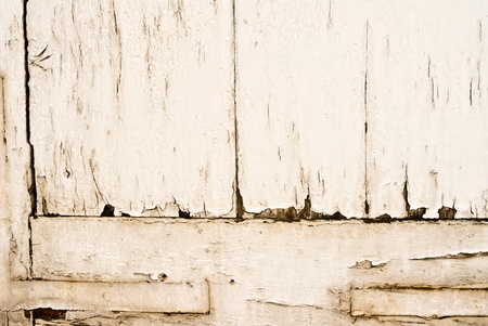 Stock macro photo of the texture of woodの写真素材