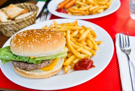 Cheese burger - American cheese burger with fresh salad