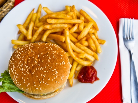 Cheese burger - American cheese burger with fresh salad