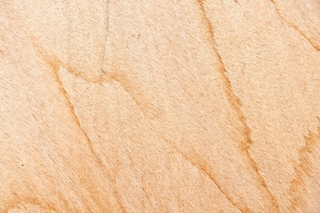 Stock macro photo of the texture of wood