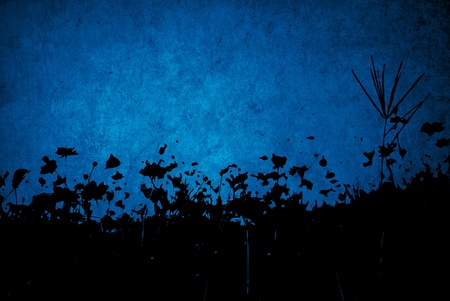 floral style textures isolated on white-with space for your designの写真素材