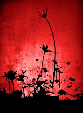 Multicolor foliage background with space for text or imageの写真素材