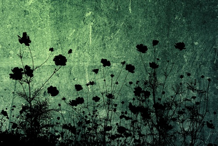 floral style textures isolated on white-with space for your designの写真素材