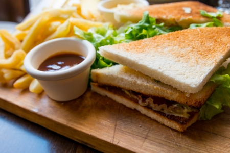 Sandwich with chicken, cheese and golden French fries potatoesの写真素材