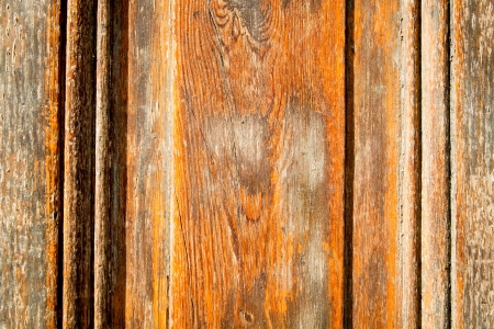 Stock macro photo of the texture of woodの写真素材