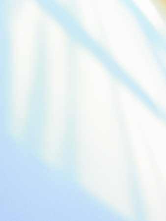 Artistic style-shadow and lighting on white wall abstract backgroundの写真素材