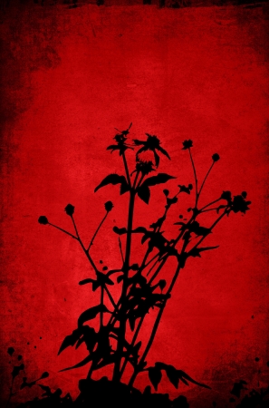 floral style textures isolated on white-with space for your designの写真素材