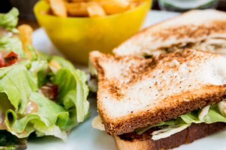 Sandwich with chicken, cheese and golden French fries potatoesの写真素材