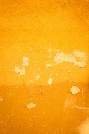 highly Detailed grunge background-with space for your designの写真素材