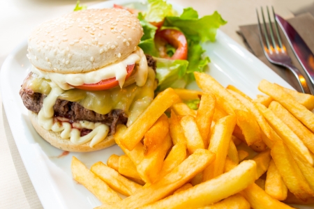Cheese burger - American cheese burger with fresh saladの写真素材