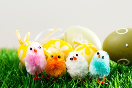 Easter eggs and chickens on green grassの写真素材