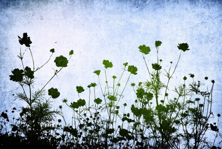floral style textures with space for text or imageの写真素材