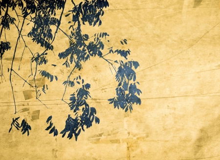 Multicolor foliage background with space for text or image
の写真素材