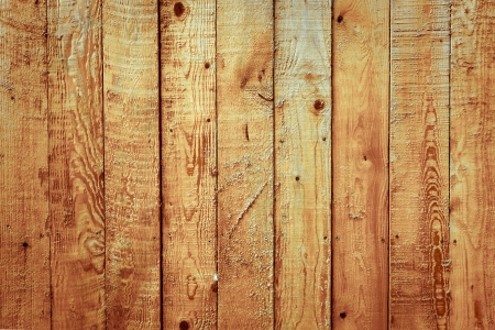 Stock macro photo of the texture of woodの写真素材
