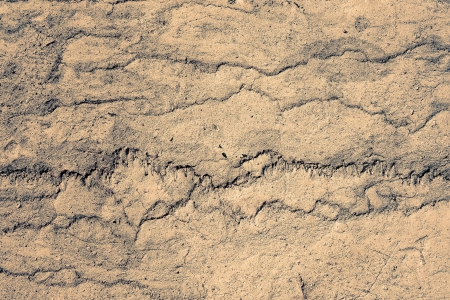 large grunge textures and backgrounds - perfect background with space for text or imageの写真素材