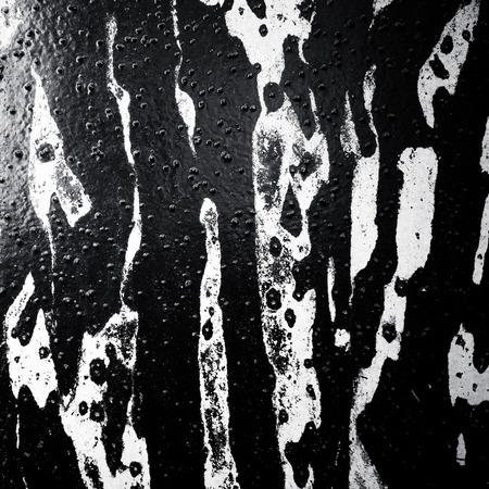 highly Detailed grunge background-with space for your designの写真素材